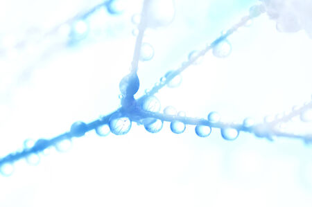Drop of water