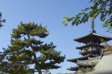 Yakushiji templeのeditorial素材