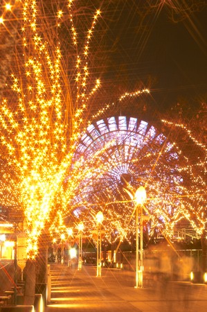 Various ornamental illuminations and ferris wheel.の写真素材