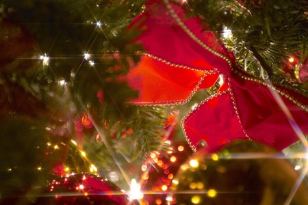 Various ornamental for Christmas decoration.の写真素材