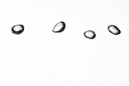 Some bubbles in the water.の写真素材