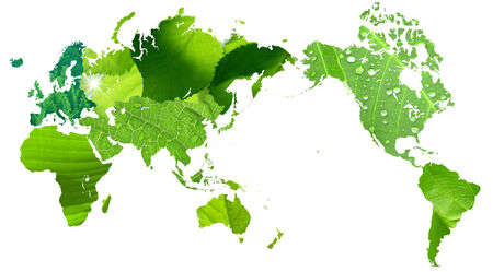 The world map of some leaves and white background.の写真素材