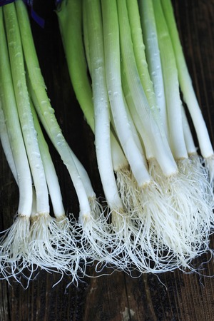 A lot of fresh leek and black background.