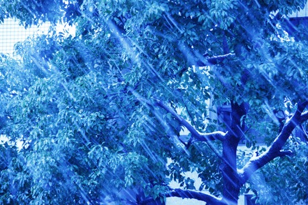 Snow sceneの写真素材