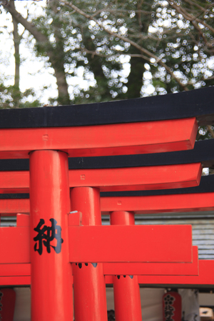 Toriiの写真素材