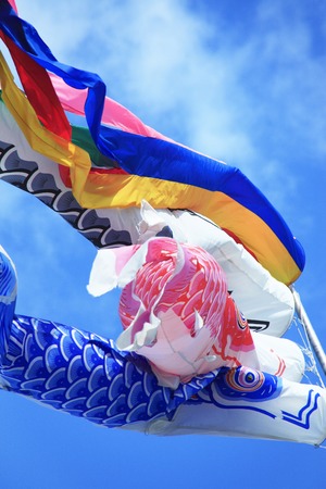 Carp streamerの写真素材