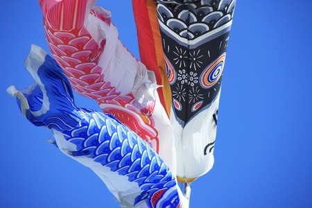 Carp streamerの写真素材