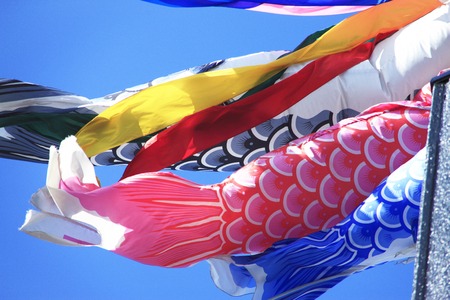 Carp streamerの写真素材