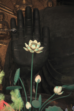 Great Buddha of Naraの写真素材