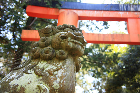 Guardian dogs and Toriiの写真素材