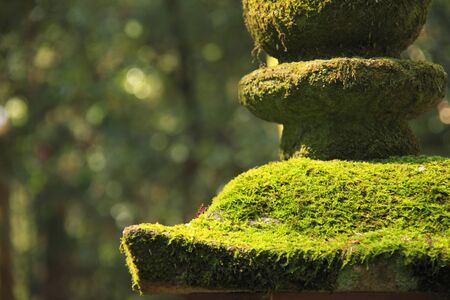 Stone garden lanternの写真素材