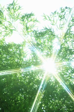 Arrayの写真素材