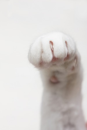 Arrayの写真素材