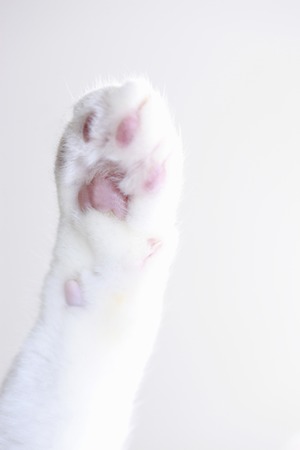 Arrayの写真素材