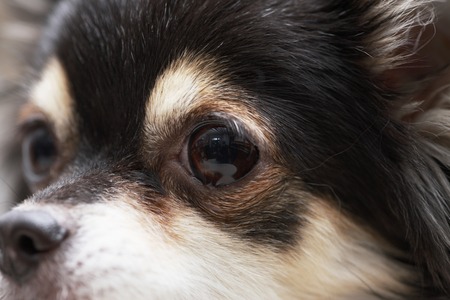 Arrayの写真素材