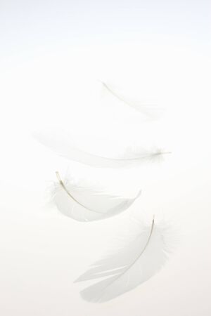 Arrayの写真素材