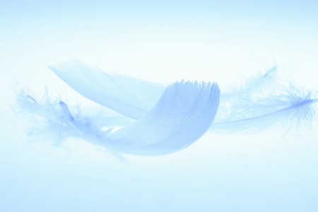 Arrayの写真素材