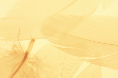 Arrayの写真素材