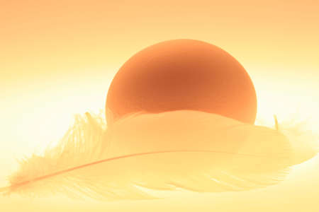 Arrayの写真素材