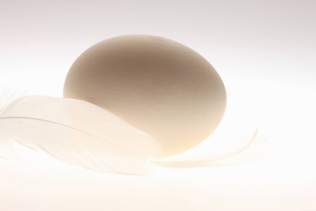 Arrayの写真素材