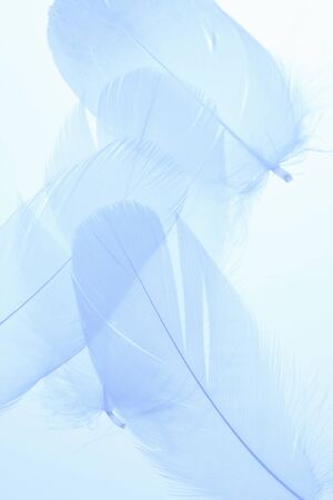 Arrayの写真素材