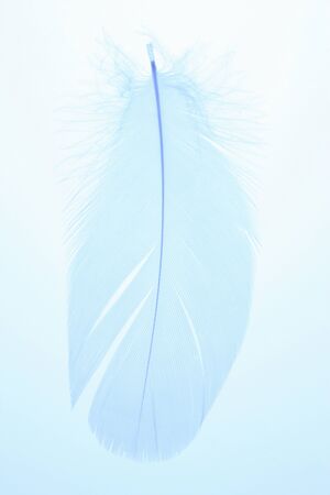 Arrayの写真素材