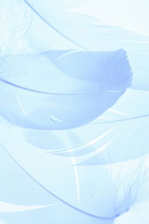 Arrayの写真素材