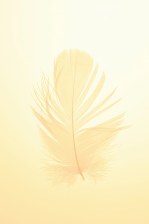 Arrayの写真素材