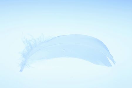 Arrayの写真素材