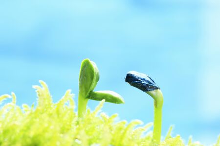 Arrayの写真素材