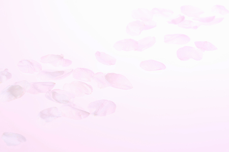 Arrayの写真素材