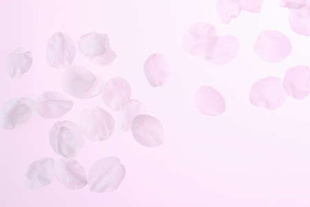 Arrayの写真素材