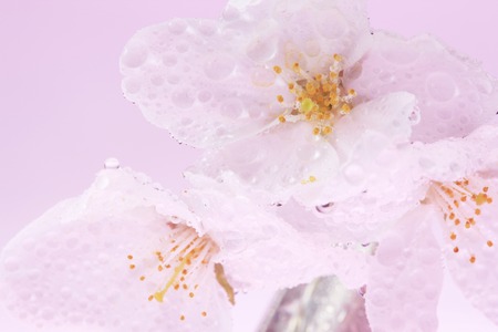 Arrayの写真素材