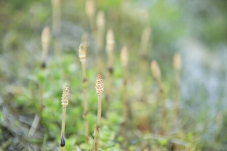 Arrayの写真素材