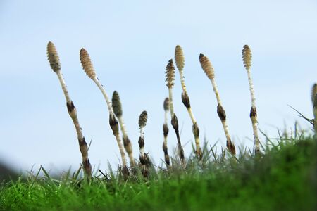 Arrayの写真素材