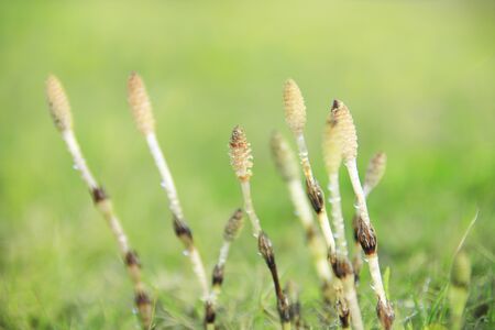 Arrayの写真素材