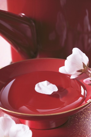 Glass and cherry blossomsの写真素材
