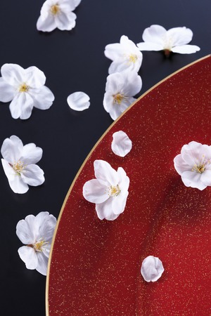 Cherry Japanesestyle imageの写真素材