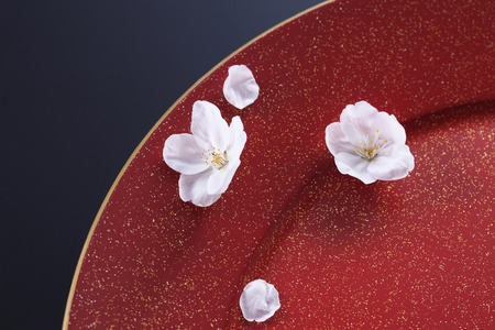 Cherry Japanesestyle imageの写真素材