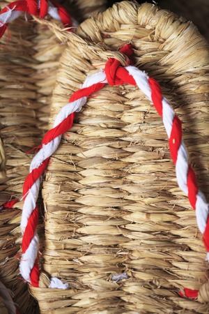 Kusakaeruの写真素材