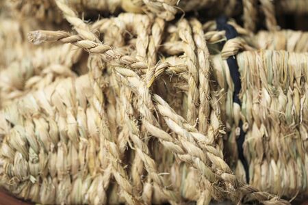 Kusakaeruの写真素材