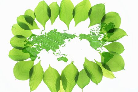 Fresh green and a world mapの写真素材