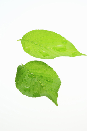 Arrayの写真素材