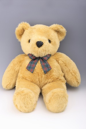 Teddy bear