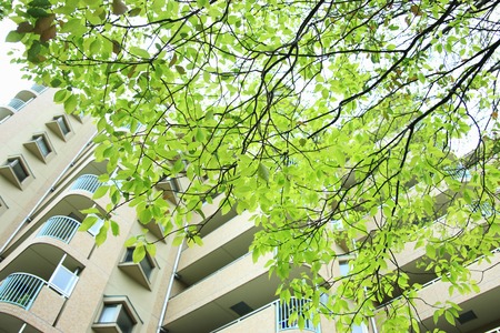 Fresh greenの写真素材