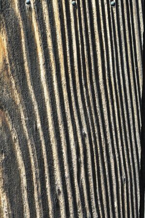 Wood grainの写真素材