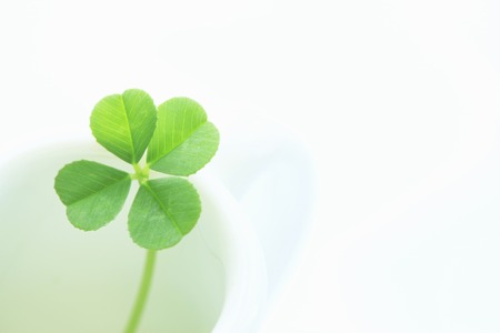 Clover leaf
