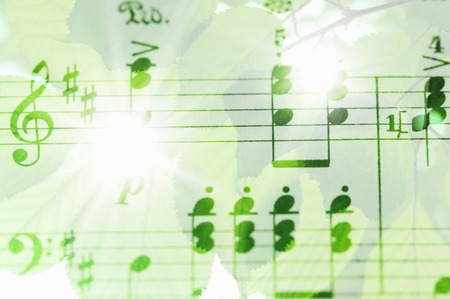 Sheet music and fresh greenの写真素材