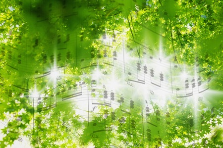 Sheet music and fresh greenの写真素材