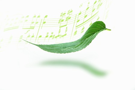 Sheet music and fresh greenの写真素材